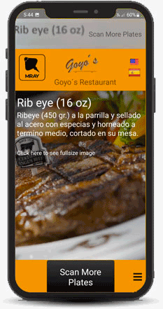 Explicacion MRay